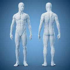 Männlicher Körper - Seitenansichten