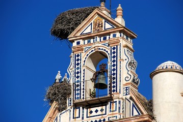Storks on church tower, Ecija, Spain © Arena Photo UK
