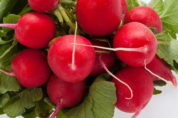Garden radish on white background