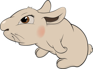 Rabbit Cartoon
