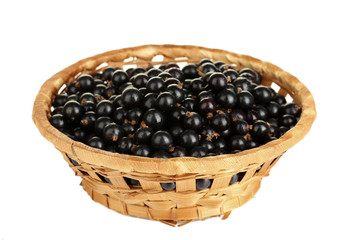 Fresh black currant in wicker basket isolated on white