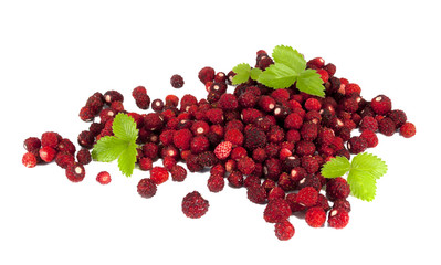 Delicious wild strawberries with green leaves , isolated on whit
