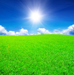 Fototapeta na wymiar Field of grass and blue sky