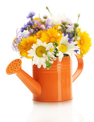beautiful bouquet of bright  wildflowers in watering can,