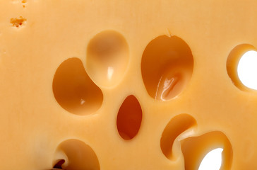 Slice of cheese close-up view