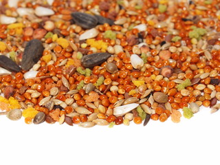 seed mixture for bird. Complete food for Lovebirds
