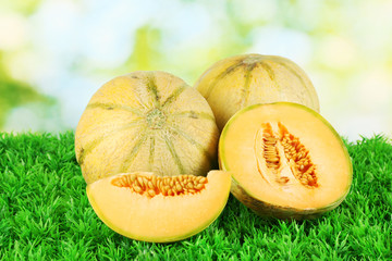 Tasty melons on grass on green background