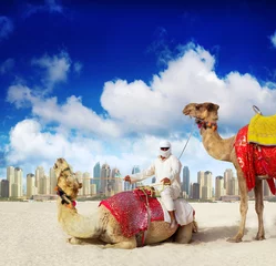 Türaufkleber Camel on Dubai Island Beach, United Arab Emirates © arti om