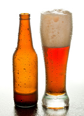 Cerveza obscura fria con botella