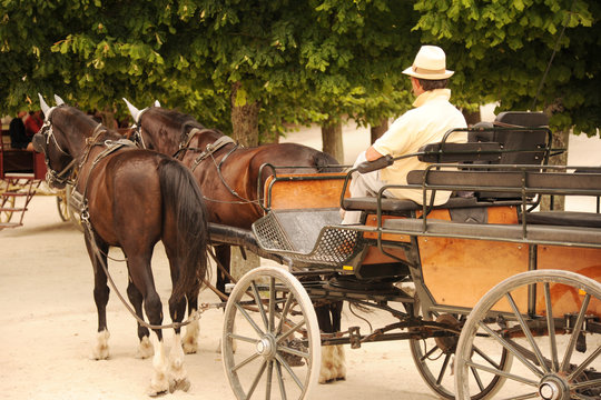 cal&egrave;che