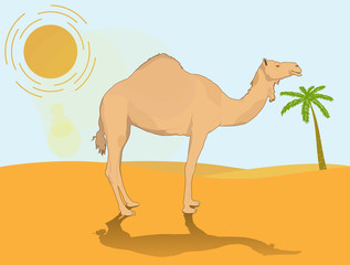 Camel in desert with the sun and a palm tree