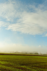 Obraz premium Country landscape.