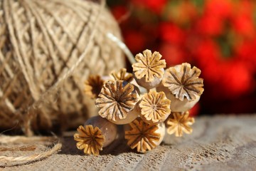 mohn getrocknet