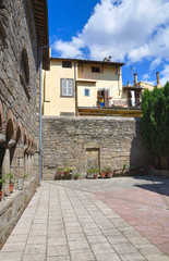 Naklejka premium Church of St. Maria Nuova. Viterbo. Lazio. Italy.