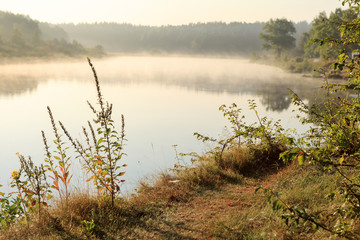 A river on a foggy morning