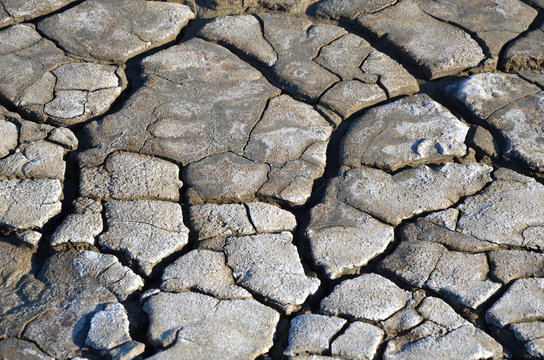 cracks in the mud