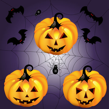 halloween pumpkin with spider and bat night