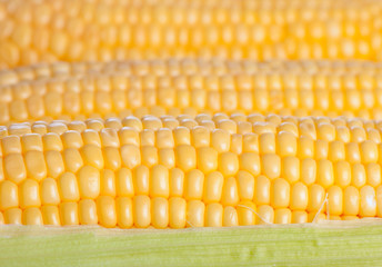 Background from corn cobs