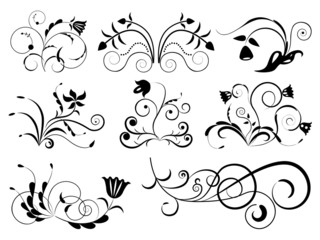 Black and white floral design elements.
