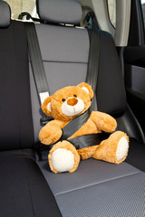 Teddy Bear in a car