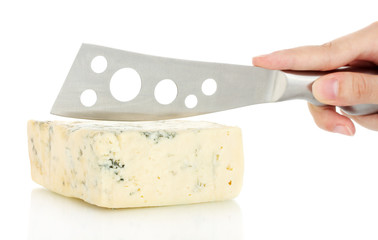 Woman's hand cut blue cheese on white background close-up