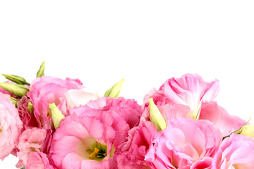 Obraz na płótnie Canvas Bukiet kwiatów eustoma, na białym tle
