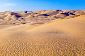 Fototapeta na wymiar wydma w świcie na pustyni