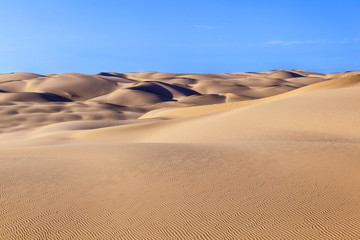 sand dune in sunrise in the desert