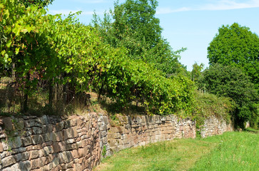Trockenmauer