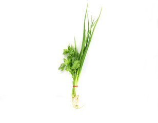 Onion, celery.