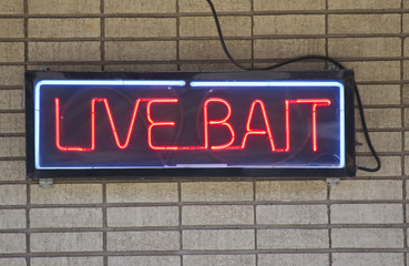 Live Bait