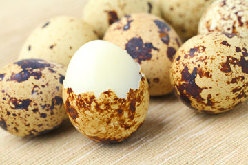 Obraz premium Quail Egg