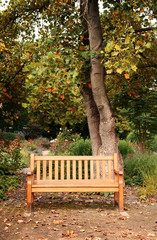 beautiful bench