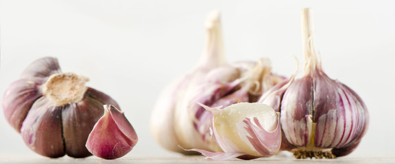 Garlic