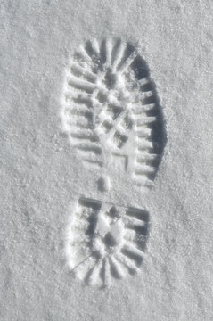 Snow Sole Imprint