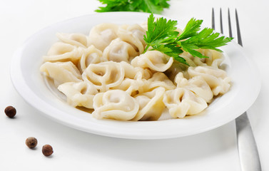 Meat Dumplings