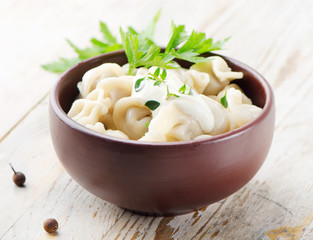 Meat Dumplings