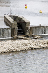 Oberes Weserwehr Hameln (Niedrigwasser)