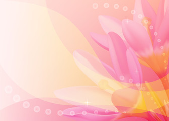 Vector colorful background with crocuses