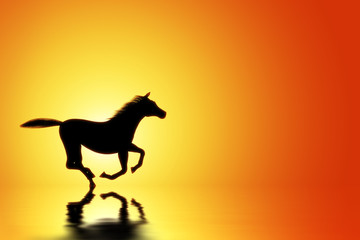 Fototapeta premium Horse at sunset