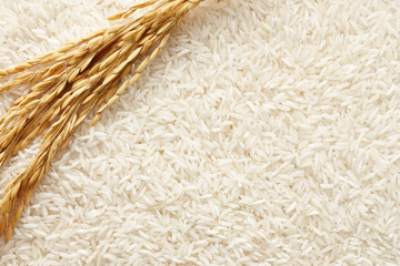 rice background - 44063487