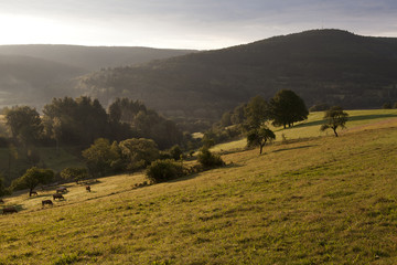 sunrise in mountains