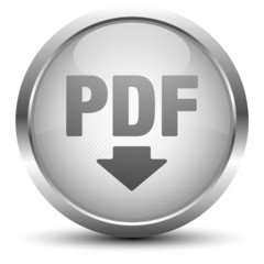 PDF Download Button Silber
