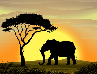 Fototapeta na wymiar Elephant under a tree