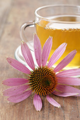 Herbal tea and purple coneflower
