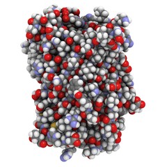 Green fluorescent protein - chemical structure