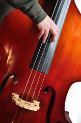Upright Bass