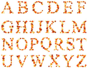 Autumn maples leaves letter