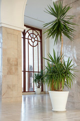 Interior of a luxury building