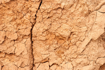 cracked clay ground into the dry season